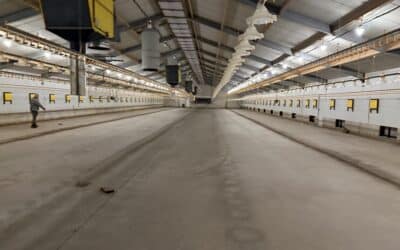 Betonvloer kippenstal herstellen