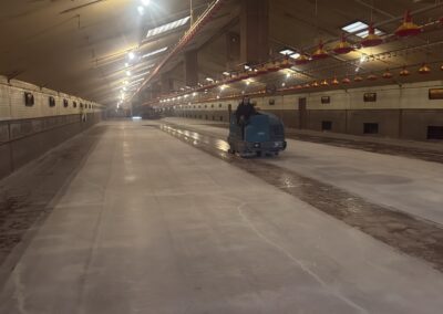 Oma&rsquo;s Kip  Castenray